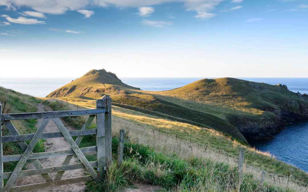 Discovering the South West Coast Path with Silverline Cabs